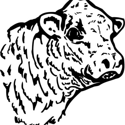 COW010 Thumbnail