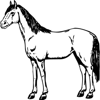 HORSE021 Thumbnail