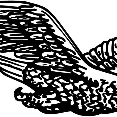 EAGLE006 Thumbnail