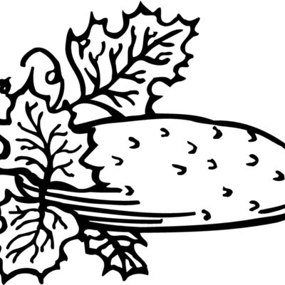 FRUIT002 Thumbnail
