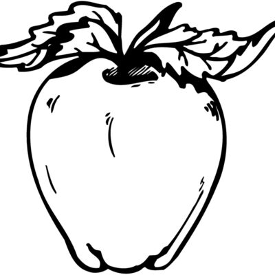 FRUIT021 Thumbnail