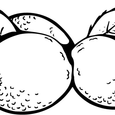 FRUIT036 Thumbnail