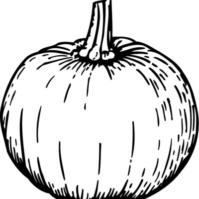 FRUIT040 Thumbnail