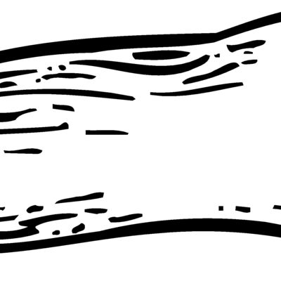 VEG012 Thumbnail
