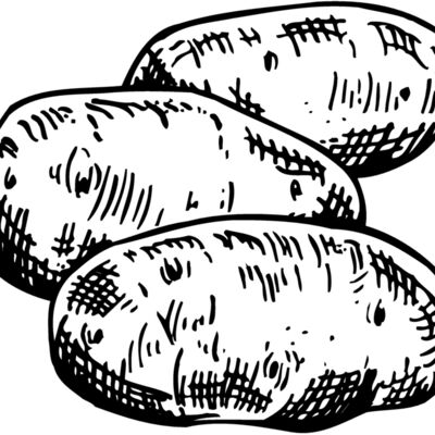 VEG013 Thumbnail